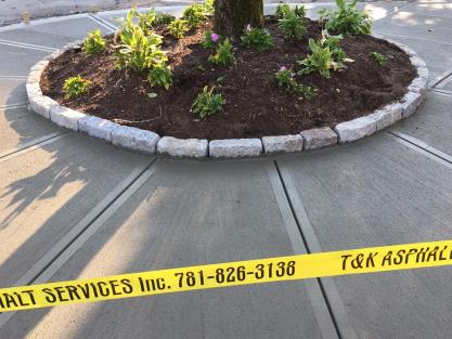 Concrete Walkway Around Tree